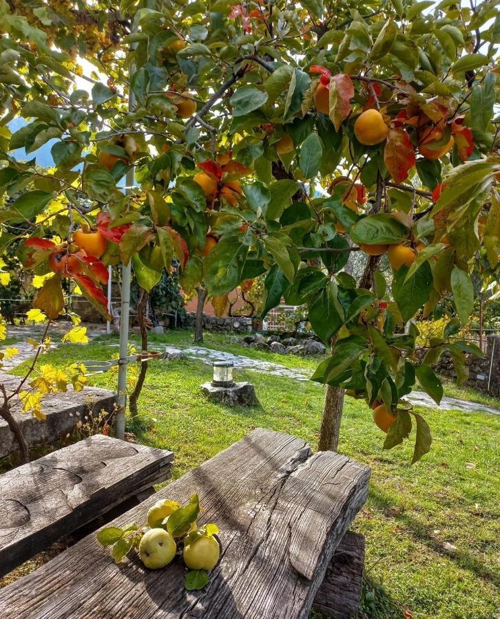 Sailor'S Rustic House Villa Virpazar Exterior photo