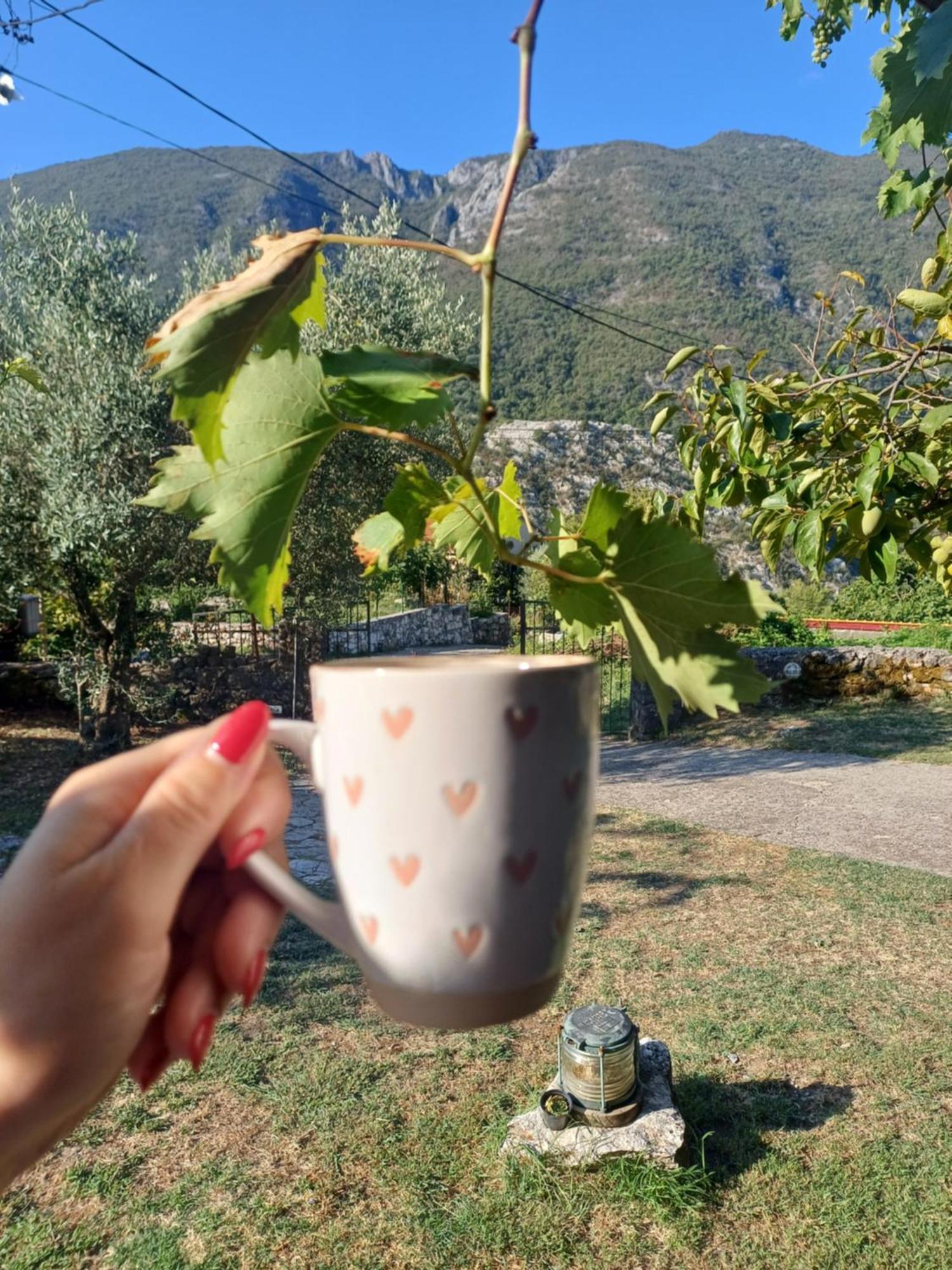 Sailor'S Rustic House Villa Virpazar Exterior photo